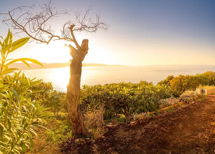 Les Marines Du Soleil - Vue Patrimonio