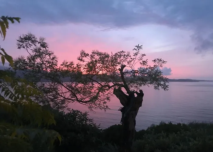 Les Marines Du Soleil - Vue